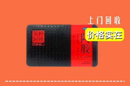 马边县回收阿胶