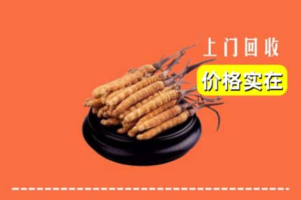 马边县回收冬虫夏草
